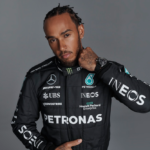 Hamilton speaks on groundhog accident,