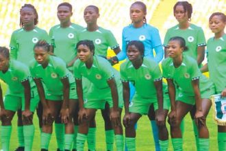 Falconets