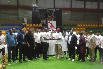 Nigerian basketball league
