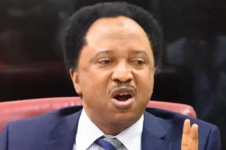 Shehu Sani