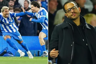 Brighton-Rosenior