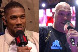 Joshua and Fury